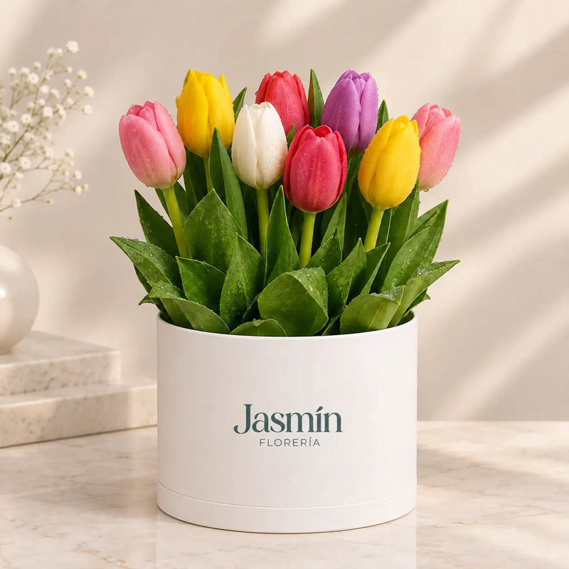 Box de 10 tulipanes premium